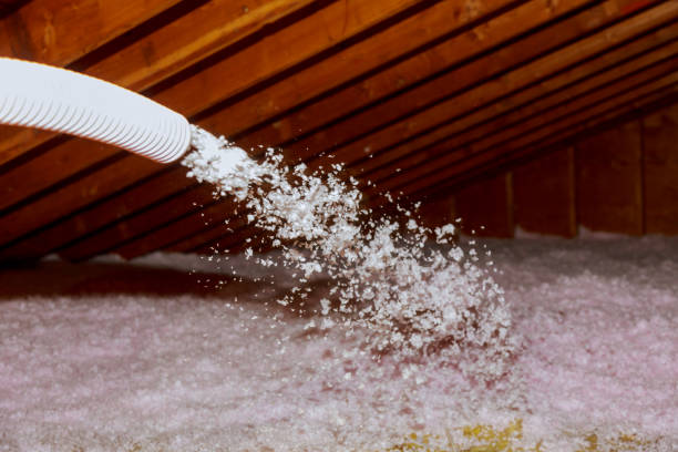 Best Residential Insulation in Wheat Ridge, CO